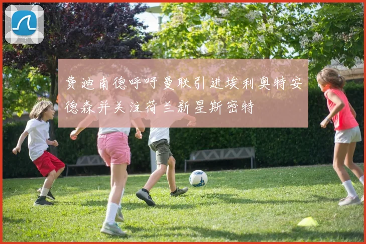 费迪南德呼吁曼联引进埃利奥特安德森并关注荷兰新星斯密特