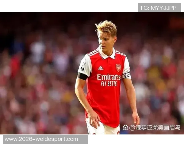 本赛季五大联赛中场中路球员评分分析B费恰尔汗奥卢基米希表现突出