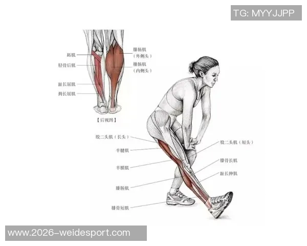 李磊右大腿后群肌肉拉伤及肌筋膜炎I的伤情报告分析与康复建议 李磊右大腿后群肌肉拉伤及肌筋膜炎I的伤情报告分析与康复建议